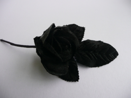 Small Velvet Rose Black